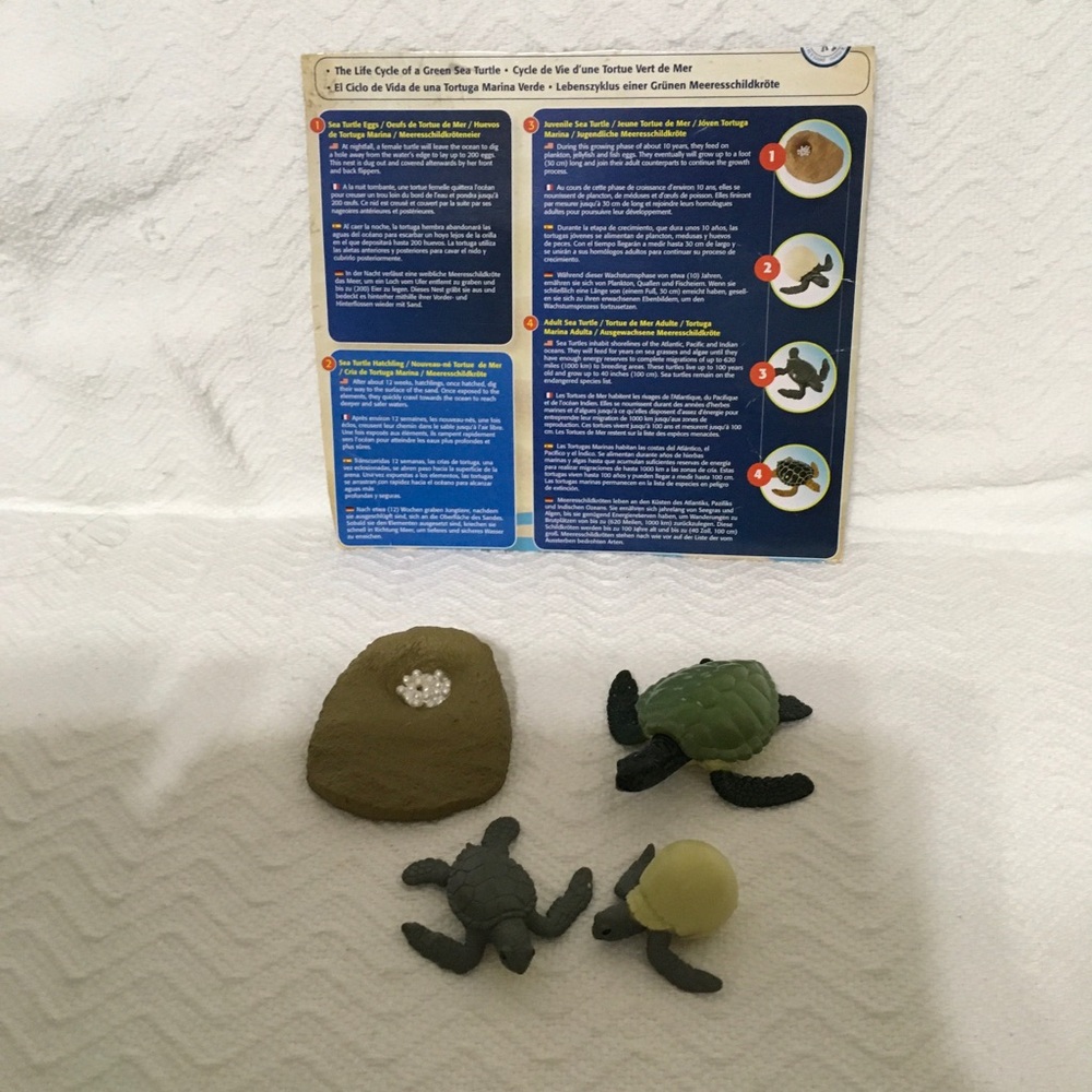 Safari Ltd Green Sea Turtle Lifecycle Figures